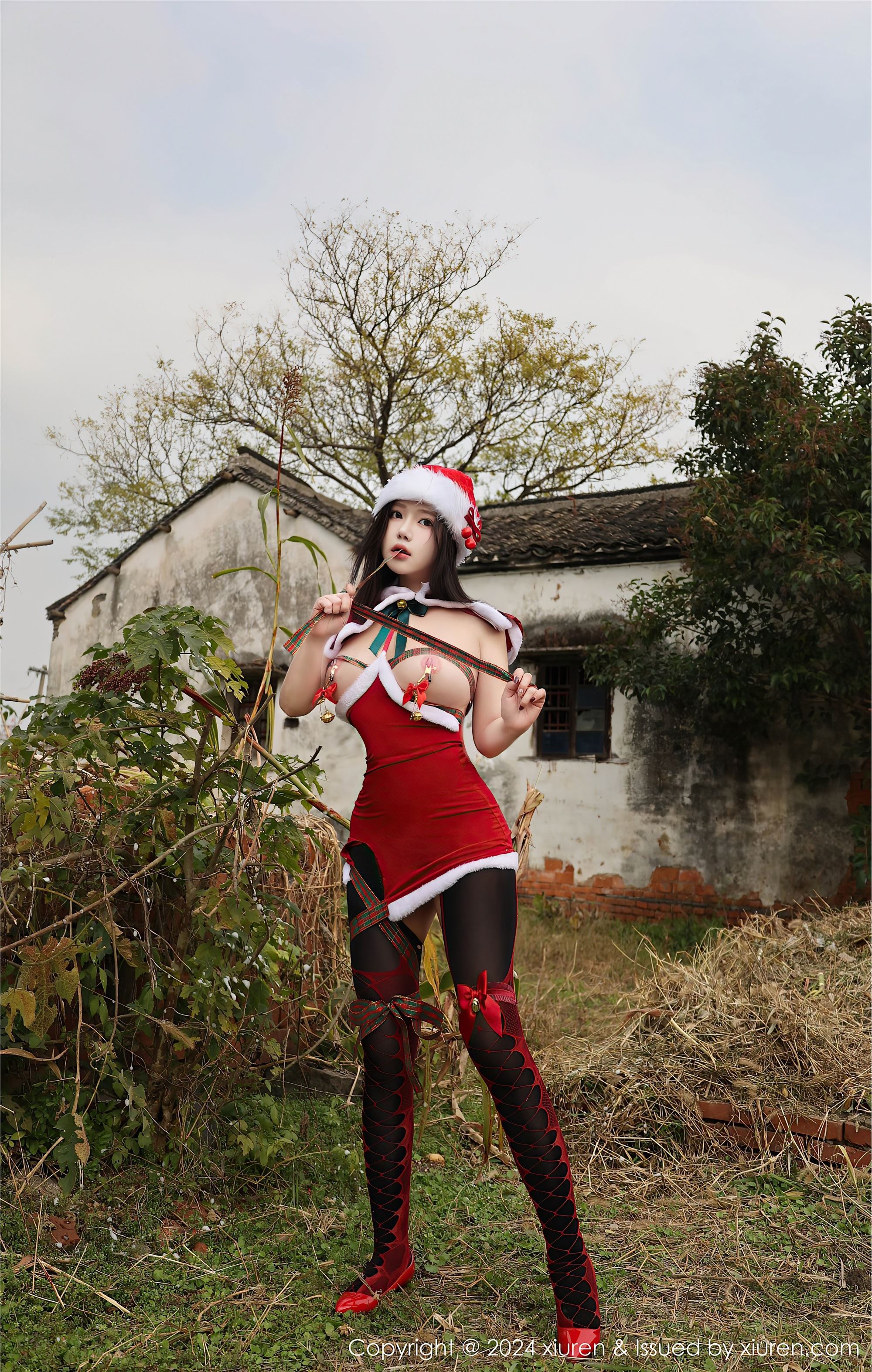 Xiuren秀人网 2024.12.20 NO.9630 小薯条nienie